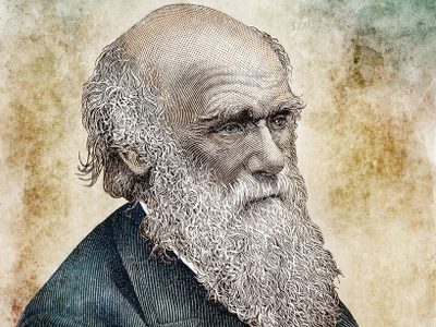 El hombre que miró fijamente a la naturaleza y ella le devolvió la verdad