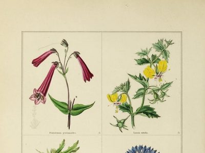 El pulso verde: la botánica como protagonista literaria