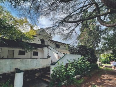 Es infinita esta belleza abandonada